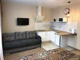 Апартаменты East Residence Киев Номер-студио Делюкс-5
